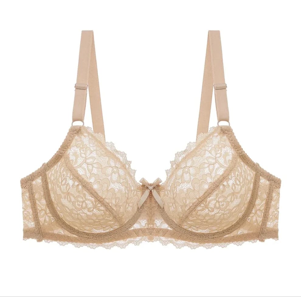 Transparent Cotton Bras – Pack of 2 | Non-Padded, Non-Wired, Full Net Design