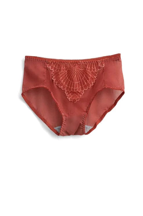 Women's Leak Protection Net Panty